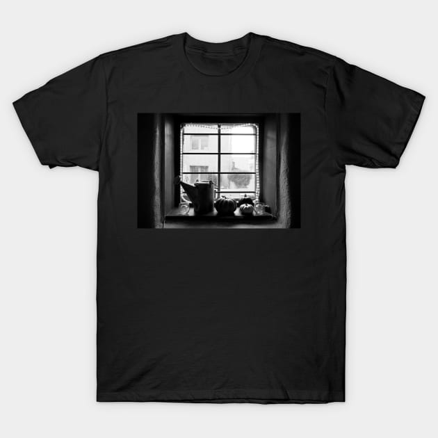 Adobe Window Autumn Still Life T-Shirt by bobmeyers